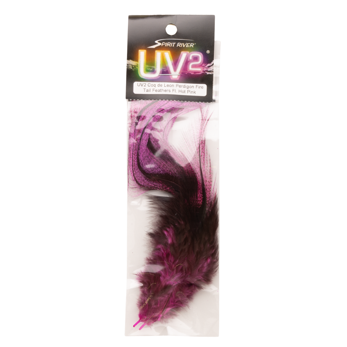 UV2 Coq de Leon Fire Tail