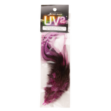 UV2 Coq de Leon Fire Tail