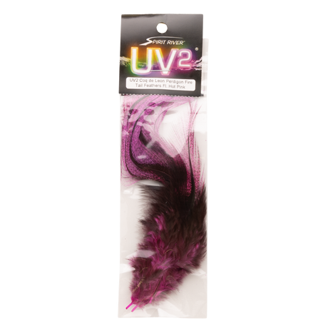 UV2 Coq de Leon Fire Tail