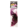 UV2 Coq de Leon Fire Tail