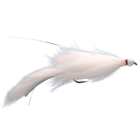 Bunny Leech