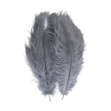 Ostrich Tail Feather Pair