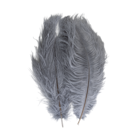 Ostrich Tail Feather Pair