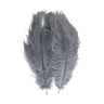 Ostrich Tail Feather Pair