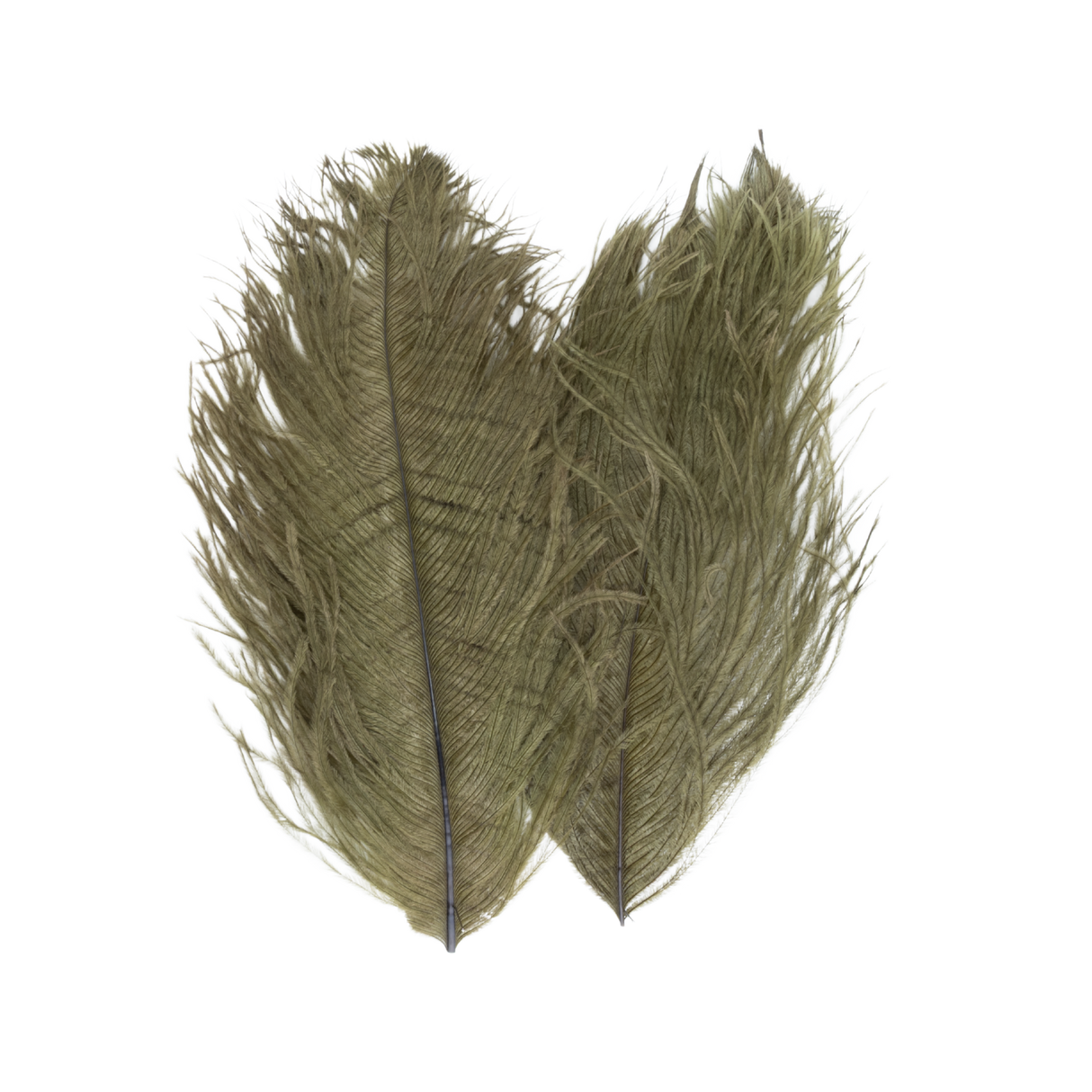 Ostrich Tail Feather Pair