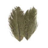 Ostrich Tail Feather Pair