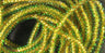 Hareline Mirco Pearl Core Braid