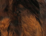 Hareline Strung Grizzly Saddle Hackle 4-6 Inch