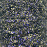 Upavon Gold/ UV Synergy Fritz