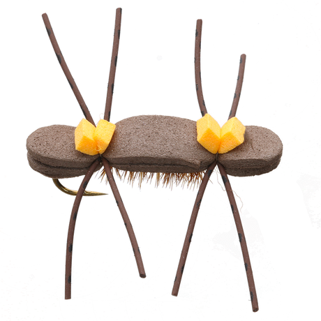 Chernobyl Ant