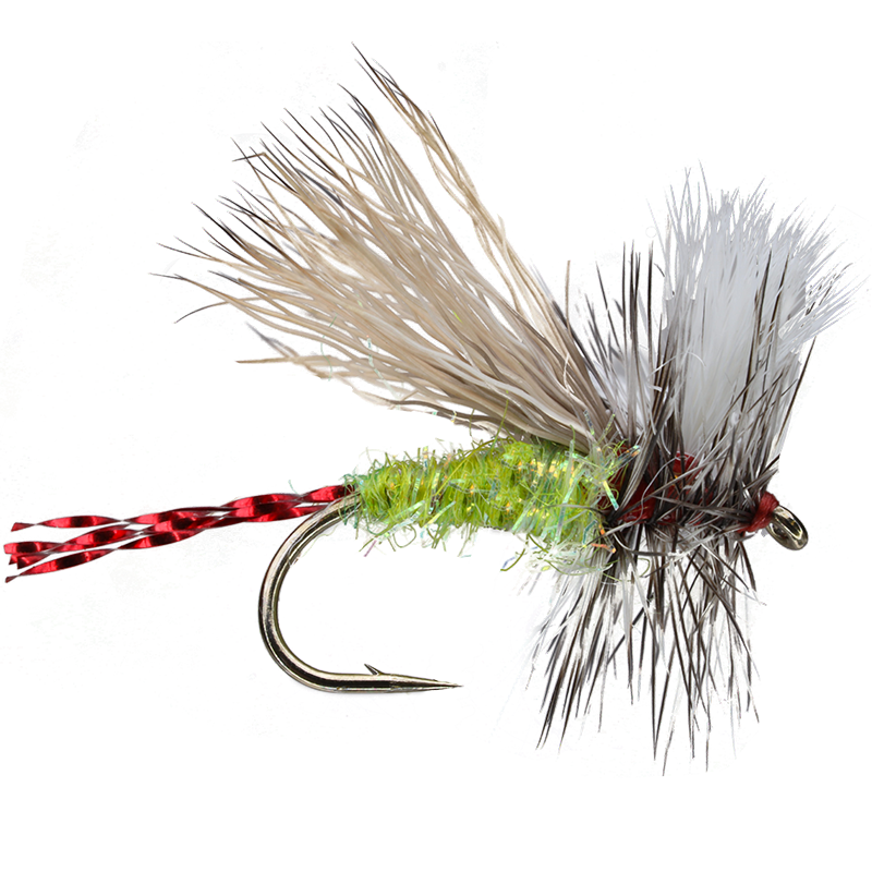 Fatal Attractor – Smitty's Fly Box
