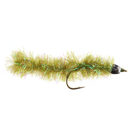 Olive Bass Worm