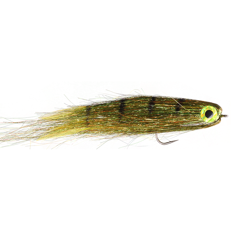 Electric Minnow