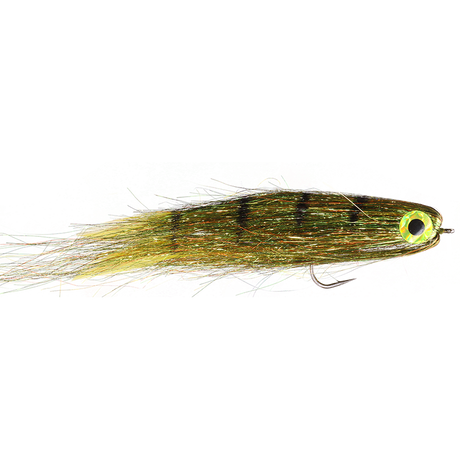 Electric Minnow