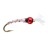 Chironomid