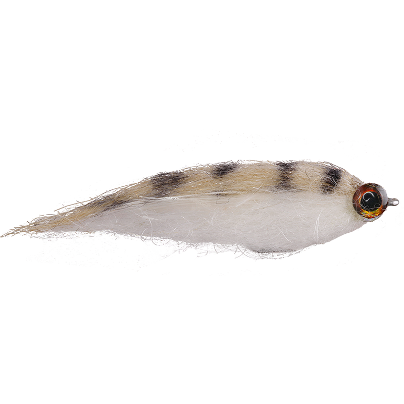 Tan White Baitfish